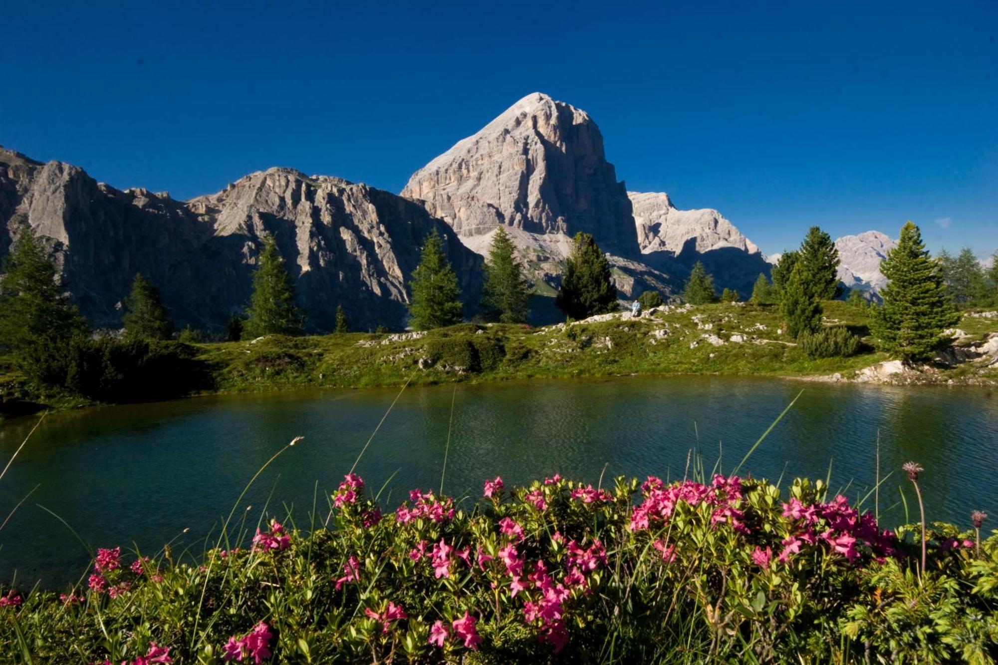Ciasa Vervei Cortina dʼAmpezzo Extérieur photo